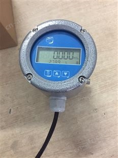药厂流量计