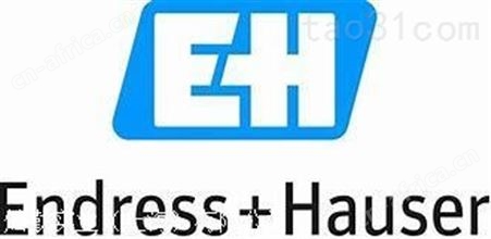 Endress HauserEndress Hauser流量变送器介绍