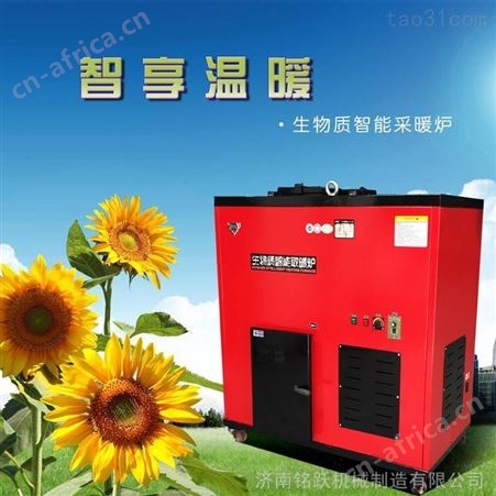 家用办公室生物质采暖炉 暖气炉颗粒取暖炉厂家  量大优惠
