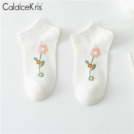 CaldiceKris女袜船袜隐形袜品质棉袜（5双装）CK-FS1017