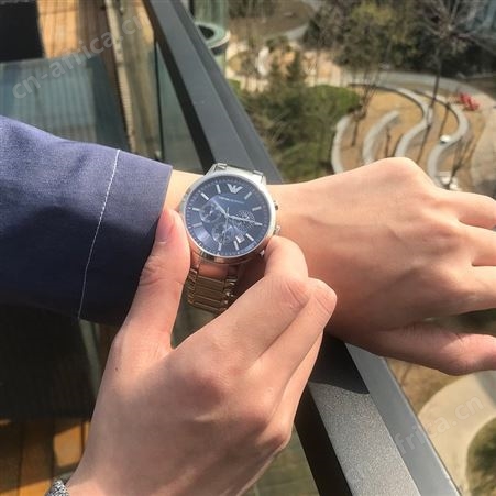 阿玛尼(Emporio Armani)钢制表盘男表石英表腕表手表 AR2448