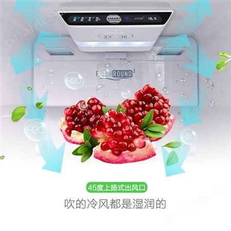 康佳门冰箱家用电冰箱大容量电脑控温BCD-405WD5EGX