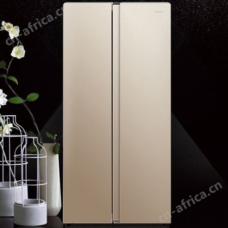 康佳门冰箱家用电冰箱大容量电脑控温BCD-405WD5EGX