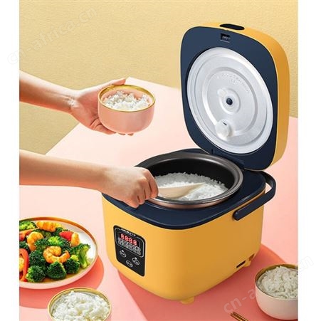 GKN格卡诺智能电饭煲家用多功能智能预约定时迷你米饭锅蒸饭器