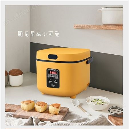 GKN格卡诺智能电饭煲家用多功能智能预约定时迷你米饭锅蒸饭器