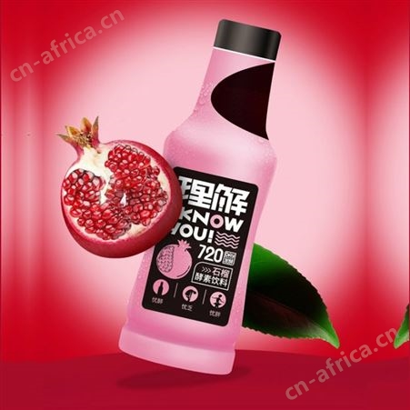 恒利康理解石榴酵素果汁饮料450ml*15（箱）