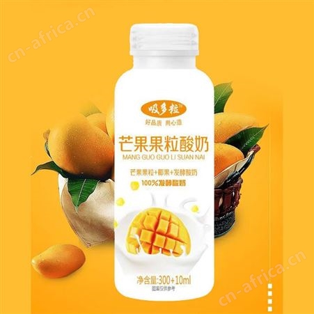 芒果果粒酸奶310ml椰果发酵代餐饮品商超渠道