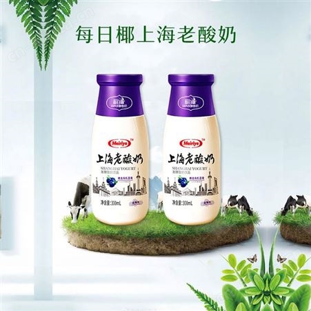 每日椰老酸奶饮品（瓶）发酵型原味酸奶300ml