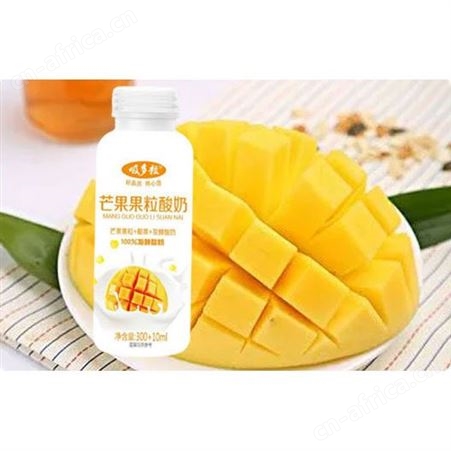芒果果粒酸奶310ml椰果发酵代餐饮品商超渠道