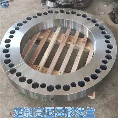ASME B16.5不锈钢法兰 双相钢大口径NACE MR0175高压锻件