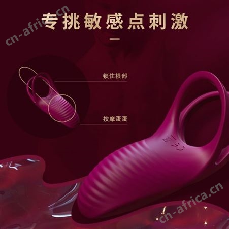 斯汉德斗魂鸷鸟轻奢系列男士硅胶双环阴茎延时锁精环成人用品