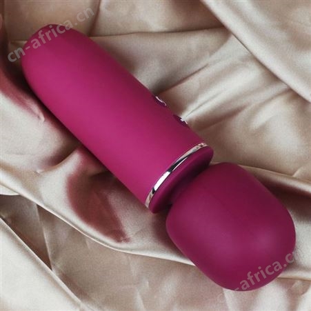 斯汉德沃勒轻奢系列迷你振动棒女用多频震动av成人按摩棒玩具