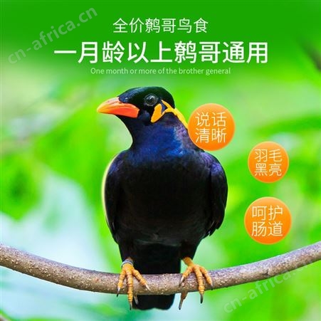 开元牌全价鹩哥食营养合成颗粒鸟粮 口碑良好