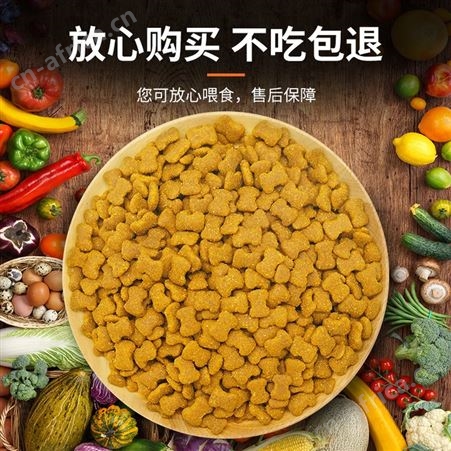 安肯经典狗粮成幼犬小中大型哈士奇金毛贵宾博美全犬种通用型10kg