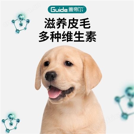 盖帝尔益生菌狗粮20kg幼犬专用粮泰迪柯基金毛拉布拉多博美萨摩耶