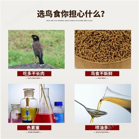 开元鹩哥鸟食八哥食专用鸟粮乌鸫鸟营养谷物含益生菌500g