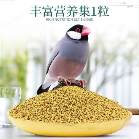 开元牌文鸟专用粮灰文鸟亮羽毛鸟食250g 口碑良好