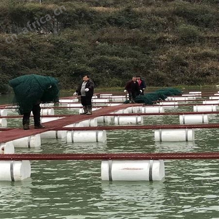 捕鱼拉网网箱 无结网箱批发 福利 网布特软不伤鱼网