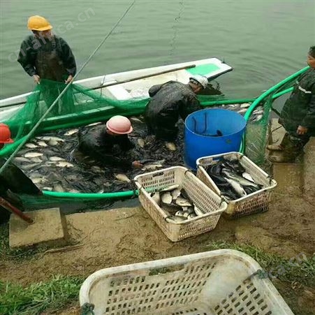 生产充气抬网 捕鱼网大型充气抬网 福利 尼龙充气抬网