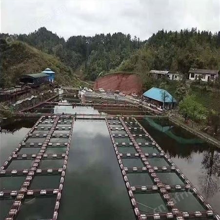 鱼池养殖网箱 清塘网箱尼龙网片 福利 定做分鱼苗网箱