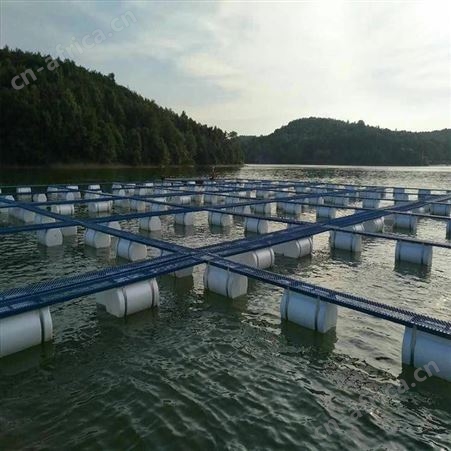 批发供应鱼花网箱 无结网箱批发 福利 大闸蟹虾黄鳝网箱