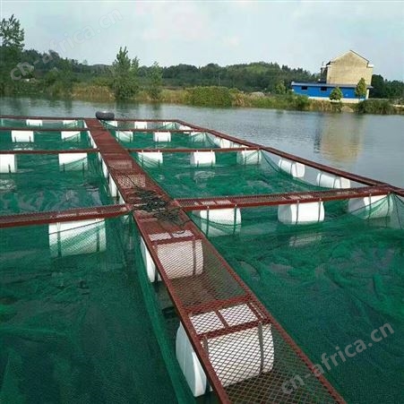 鱼网鱼苗网箱厂家 定做龙虾带盖养殖网箱 福利 加沿边防逃网箱