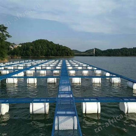 鱼池养殖网箱 供应深海养鱼网箱 福利 网箱