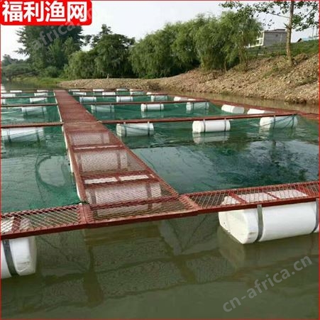 厂家供应泥鳅养殖网箱 水上垂钓平台 繁殖孵化网箱 按需定做批发