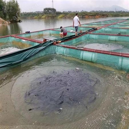 水蛭养殖网箱 泥鳅黄鳝的网箱存鱼 福利 可折叠周转网箱