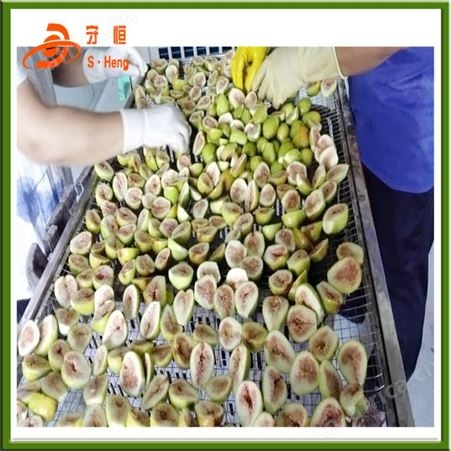 无花果烘干机之食品烘干机 无花果烘干机推荐机型