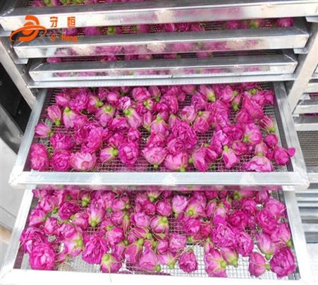 小型花卉烘干机 环保节能花卉烘干机设备