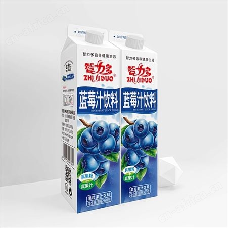 智力多屋顶包橙汁果粒果汁饮料980g招商代理扶持政策好