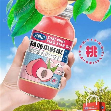 完达山芒果复合果汁饮料厂家招商招商政策好