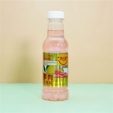 简乐派复合果汁饮料多肉大果粒饮料厂家招商商超流通渠道代理
