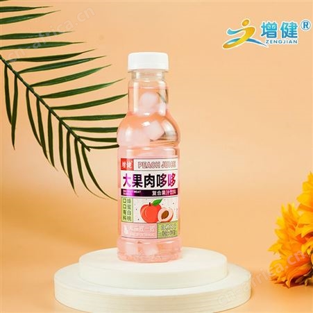 增健菠萝风味大果肉哆哆复合果汁饮料460ml代理