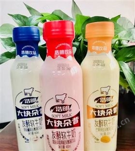 浩明原味椰果乳酸菌饮品大块朵昔发酵软牛奶招商箱装代理400ml