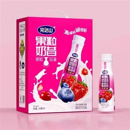 完达山椰子味果粒奶昔酸奶饮品300ml箱装招商扶持政策好