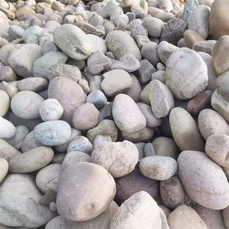 铺路用天然鹅卵石 花园公园鱼缸造景石 批发厂家