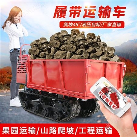 源兴十年老品牌质量保证 全地形履带运输车 山地 泥地 水田搬运车