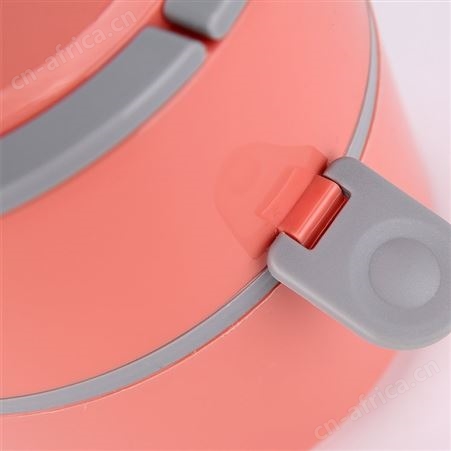 TCL 精典双层玲珑煲 电热饭盒TB-FB202A 实用礼品团购 福利代发