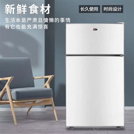 志高 电冰箱冷冻冷藏宿舍租房省电门小型迷你家用小冰箱