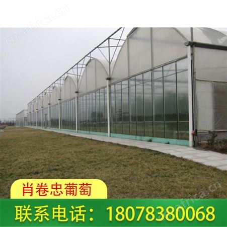 梧州连栋温室大棚-岑溪玻璃大棚可培育花卉、种植蔬菜