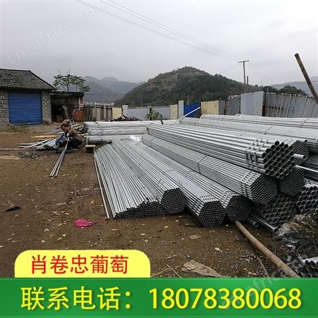 南宁横州草莓园棚架搭建施工团队经营丰富