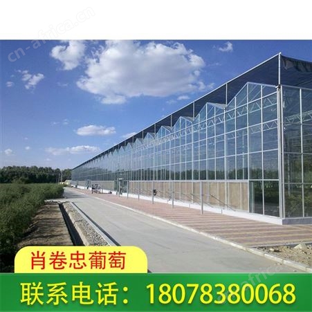 广西花卉温室大棚厂家承接建设施工服务