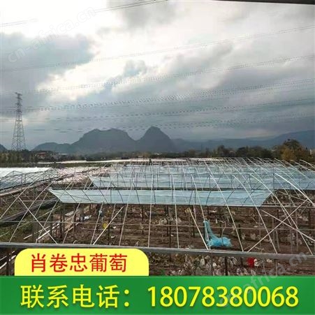 耐老化膜 广西北海 工厂直接发货