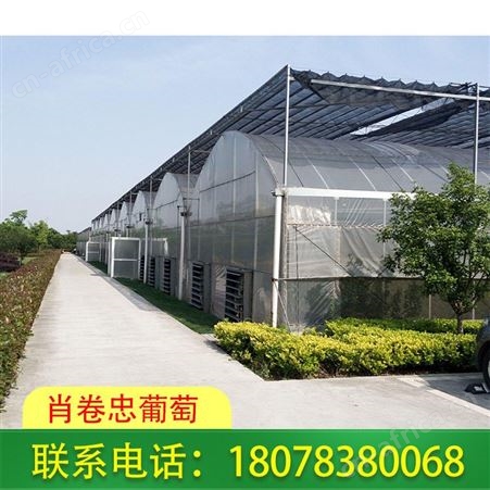 广西花卉温室大棚厂家承接建设施工服务