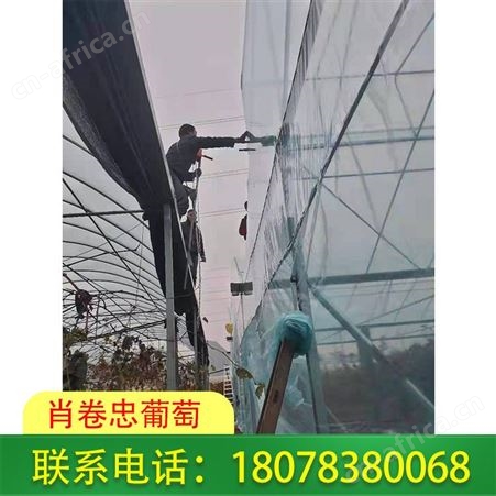 南宁柑橘膜批发-广西农膜生产厂家欢迎您来电定做