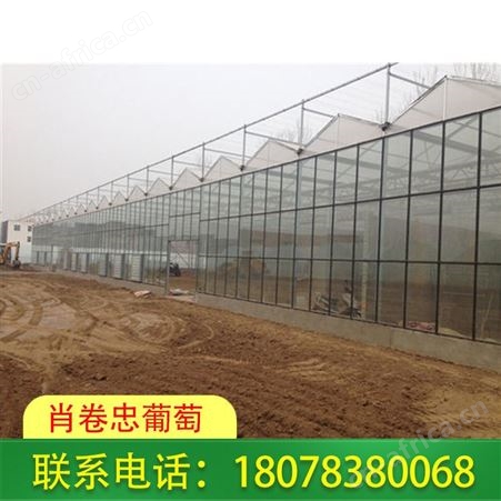 广西梧州智能连栋温室大棚可改善农作物品质