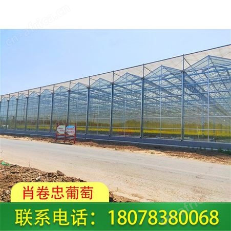 广西连栋温室大棚搭建种类多