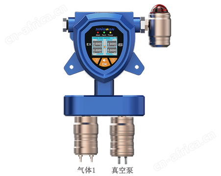 固定一体泵吸式正庚烷气体检测仪/报警仪-深国安